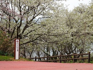 1.R@.jpg