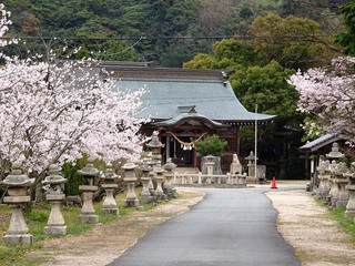 T.ԍ_Ё@.jpg